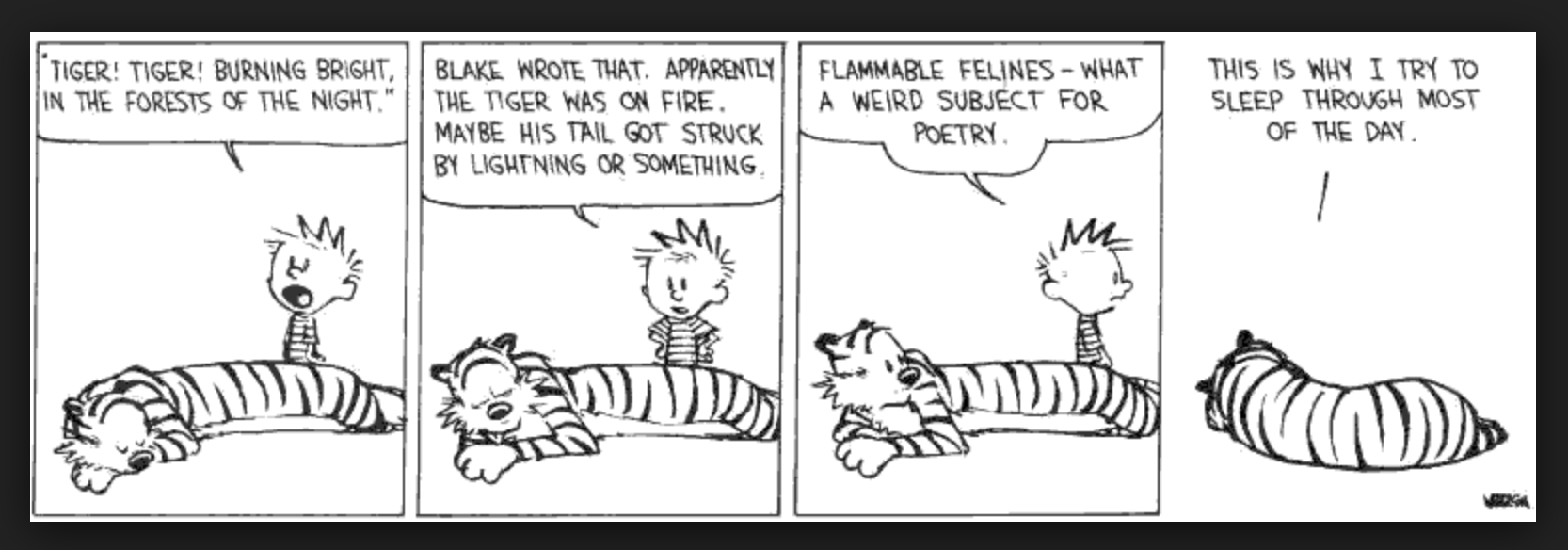 Blake Calvin and Hobbes