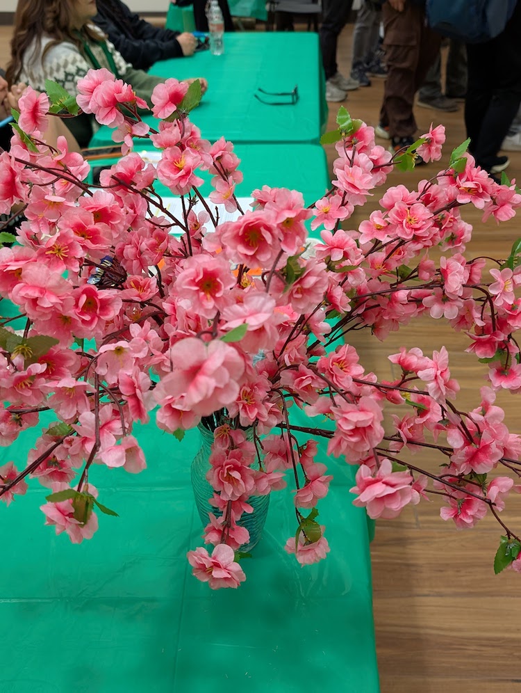 pink blossoms