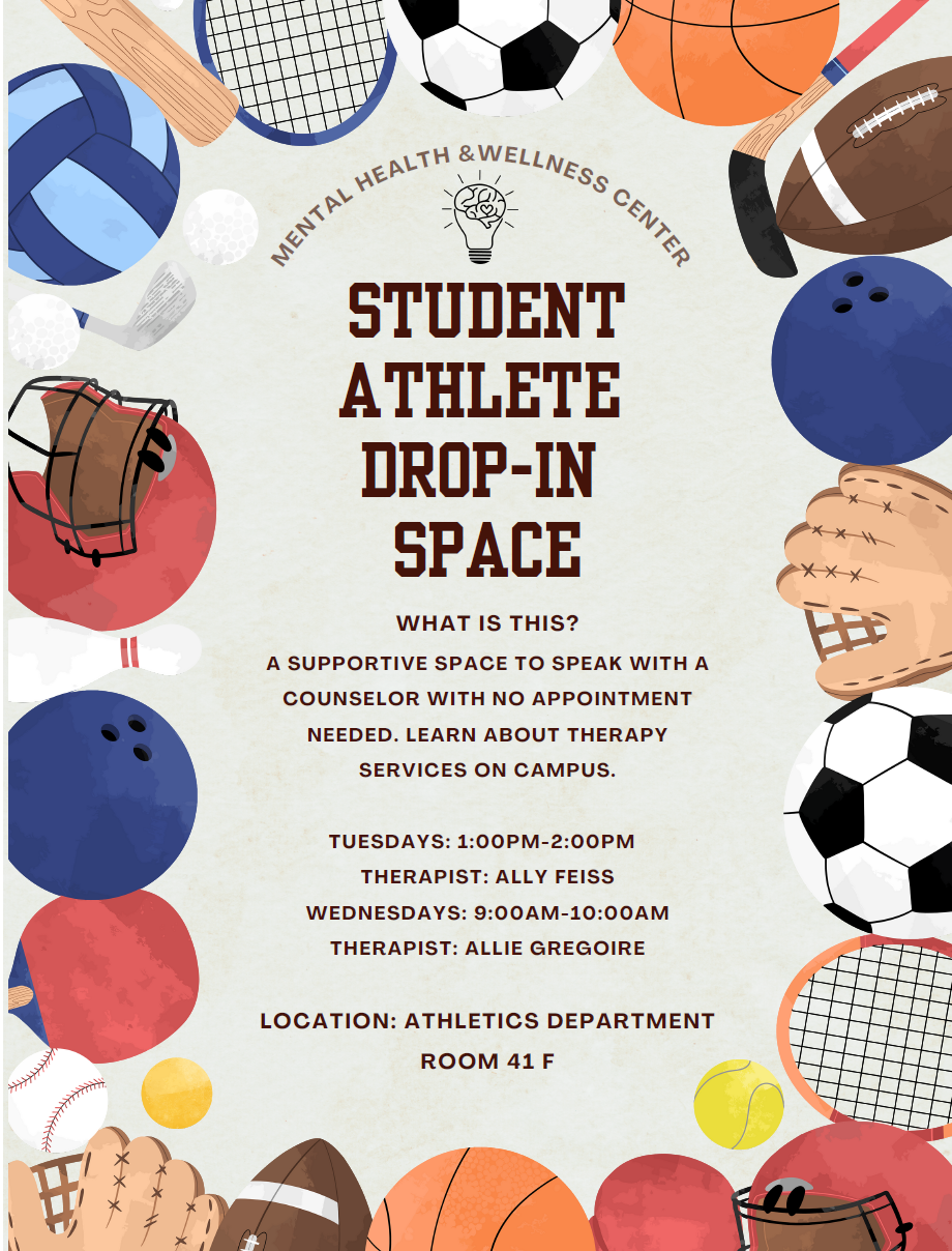 Student Athlete Flyer Screenshot